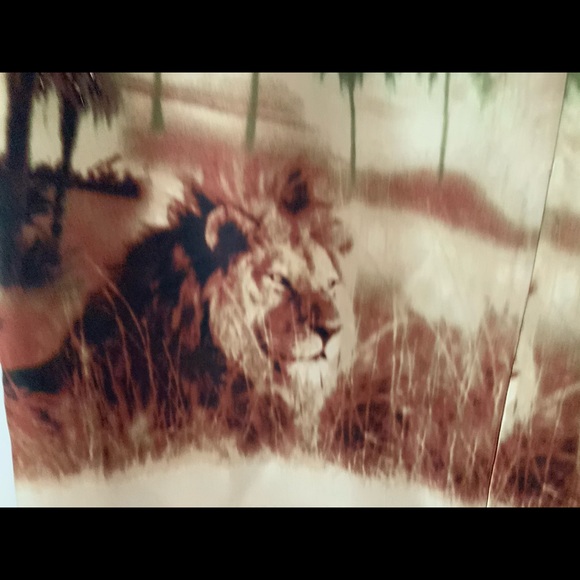 Animal Print silk lined skirts - Picture 4 of 13